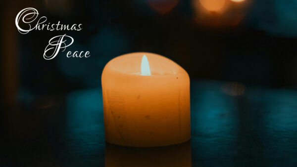 Peace Promised Image