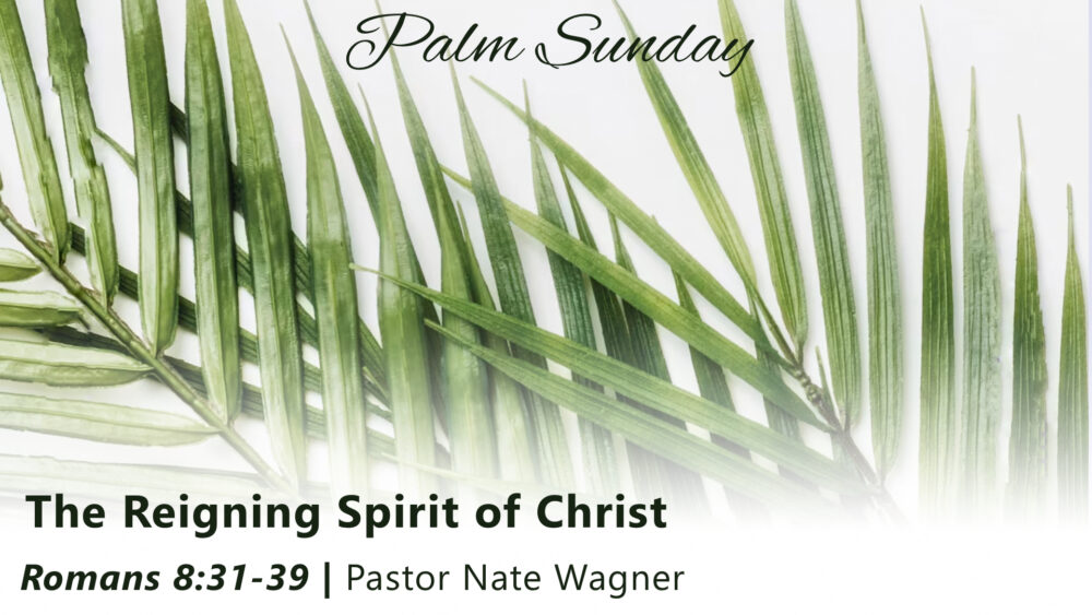 The Reigning Spirit of Christ Image